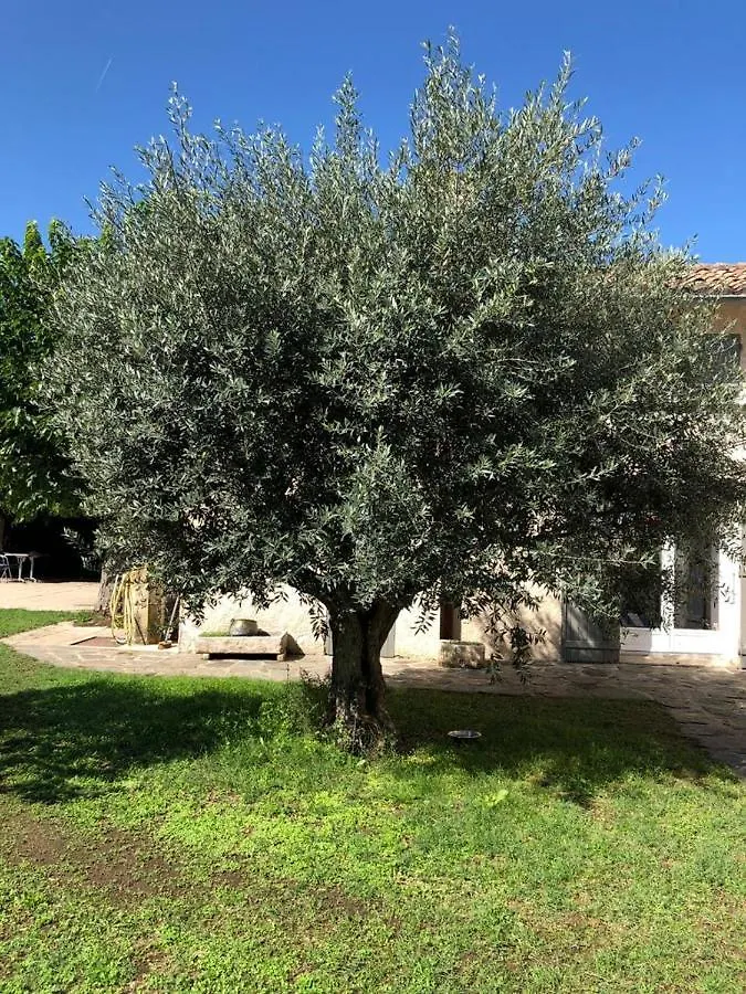 Gite Cocooning Avec Piscine Bouge-Chambalud 0*,